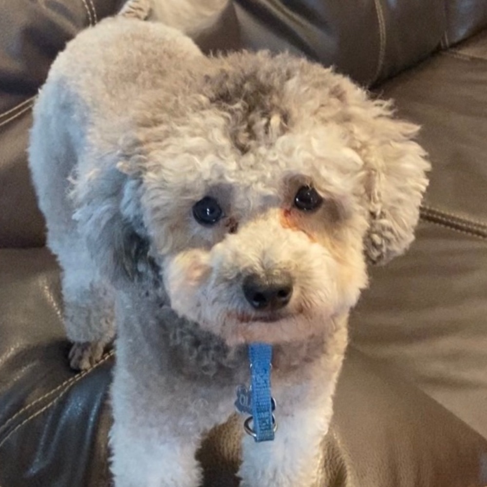 Meet your Posher, Yvette